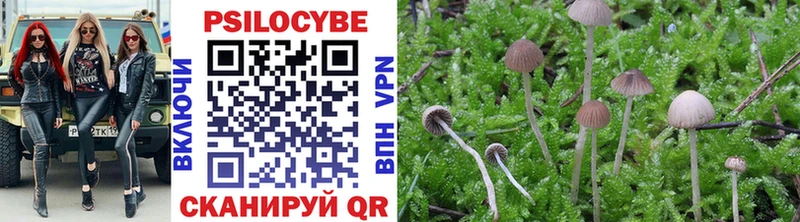 Галлюциногенные грибы прущие грибы  купить  сайты  Иркутск 